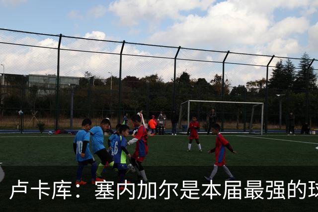 卢卡库：塞内加尔是本届最强的球队之一 本想主罚点球但没准备好