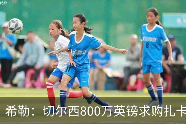 希勒：切尔西800万英镑求购扎卡太离谱，上赛季他是英超最佳之一